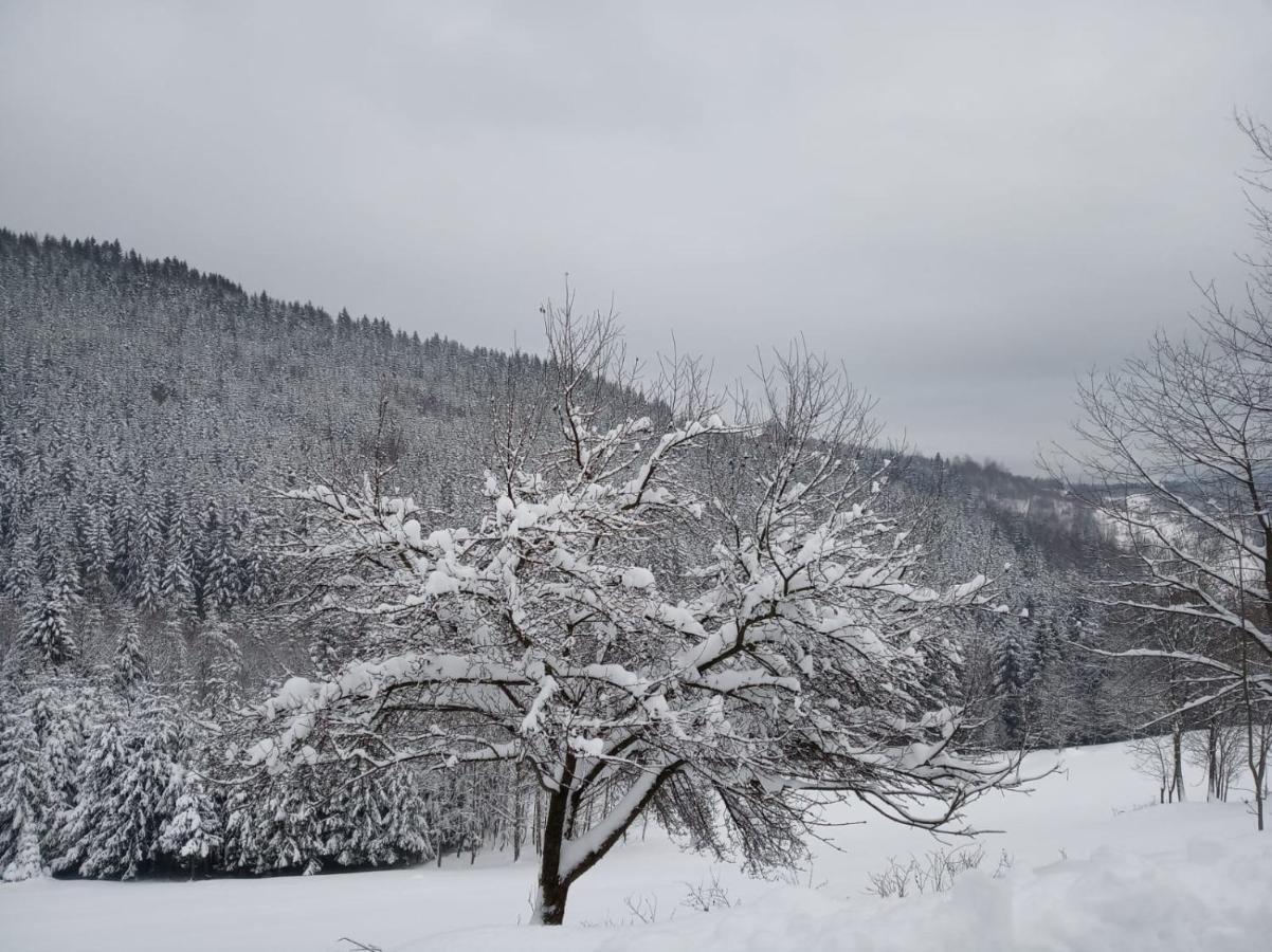 Agroturystyka Oblica Zawoja Dış mekan fotoğraf